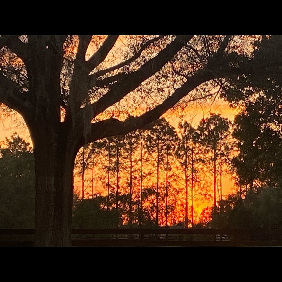 Meet your Posher, Nancy - Picture 1 of 1